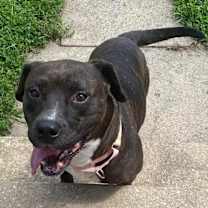 Thumbnail photo of Bonnie #3 #3