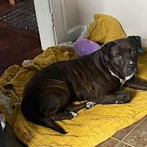 Thumbnail photo of Bonnie #3 #4