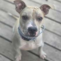 Thumbnail photo of Sunny #1