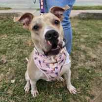 Thumbnail photo of Sunny #2