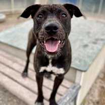 Thumbnail photo of Cutie (FKA Spritz) #1