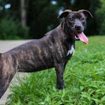 Thumbnail photo of Cutie (FKA Spritz) #2