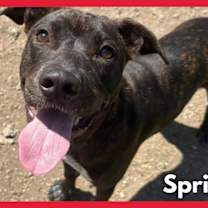 Thumbnail photo of Cutie (FKA Spritz) #3