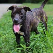 Thumbnail photo of Cutie (FKA Spritz) #4