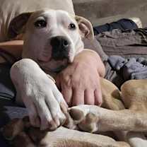 Thumbnail photo of Diamond #4