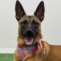 Thumbnail photo of Saraí #1