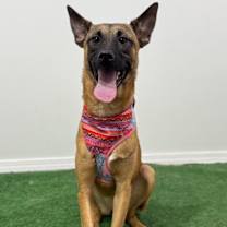 Thumbnail photo of Saraí #2