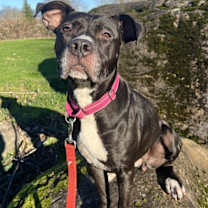 Thumbnail photo of Baby Cakes (mcas) #1