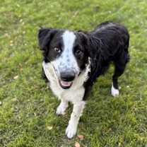 Thumbnail photo of Oscar #2