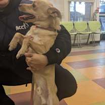 Thumbnail photo of Charly #1