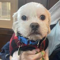 Thumbnail photo of Gregory #1