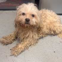 Thumbnail photo of Gregory #2