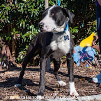 Thumbnail photo of Jamy #4