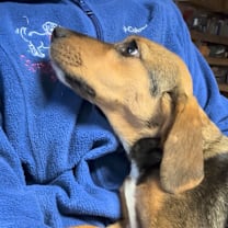 Thumbnail photo of Shiitake #4