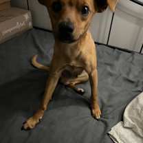 Thumbnail photo of Ragnar  #4