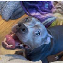 Thumbnail photo of Wendy #3