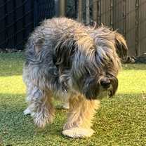 Thumbnail photo of Nikki #3