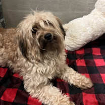 Thumbnail photo of Nate #1