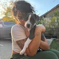 Thumbnail photo of Sugarplum #1