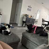 Thumbnail photo of Lunetta #4