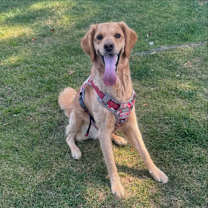 Thumbnail photo of Roman #1