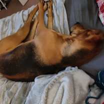 Thumbnail photo of Seirra #2