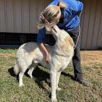 Thumbnail photo of Griffon #2