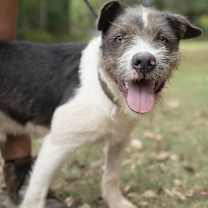 Thumbnail photo of McGraw - KA #3