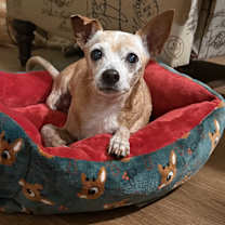 Thumbnail photo of Zip #1