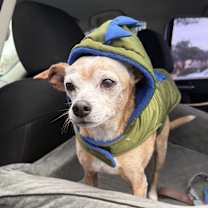 Thumbnail photo of Zip #2