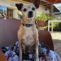 Thumbnail photo of Zip #3