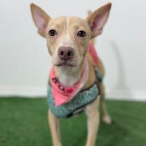 Thumbnail photo of Sisi #1