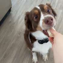 Thumbnail photo of Bear #2