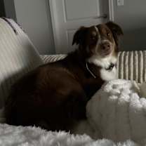 Thumbnail photo of Bear #3