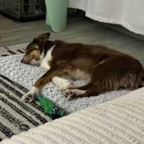 Thumbnail photo of Bear #4