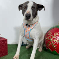 Thumbnail photo of Susan #2