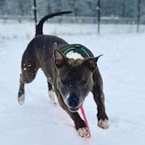 Thumbnail photo of Alice Walker #3