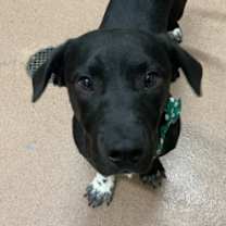 Thumbnail photo of Zip #1