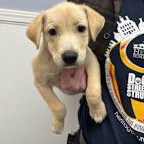 Thumbnail photo of Justin #1