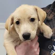 Thumbnail photo of Justin #2