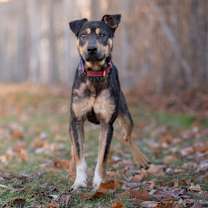 Thumbnail photo of Sundance #1