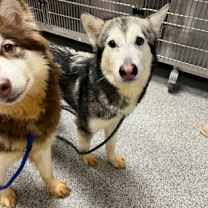 Thumbnail photo of Yunie #3