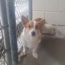 Thumbnail photo of 59959708 #1