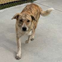 Thumbnail photo of Miley #1