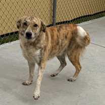 Thumbnail photo of Miley #2