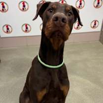 Thumbnail photo of Fernando #2