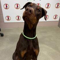 Thumbnail photo of Fernando #3