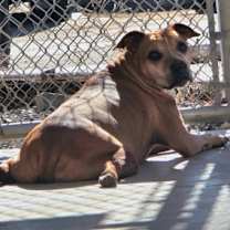 Thumbnail photo of Lane #2