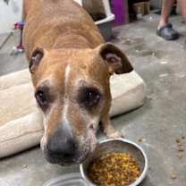 Thumbnail photo of Lane #3