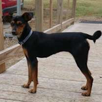 Thumbnail photo of lucy #2